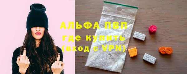 стаф Козловка