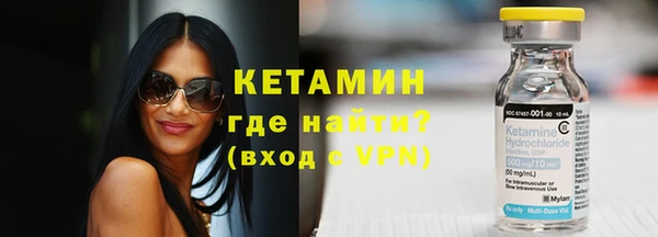 гидра Кодинск