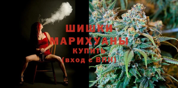 стаф Козловка