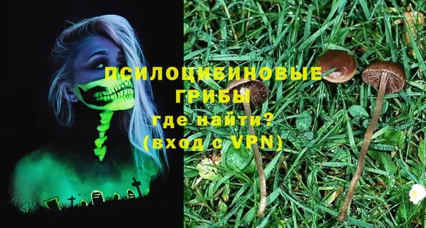 не бодяженный Козельск