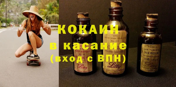 гидра Кодинск