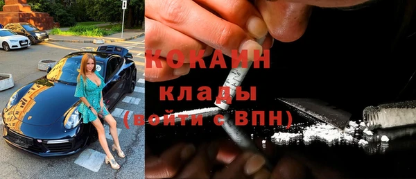 гидра Кодинск