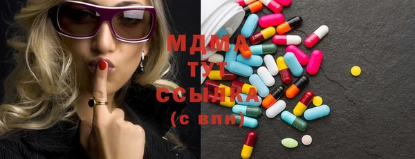 гидра Кодинск