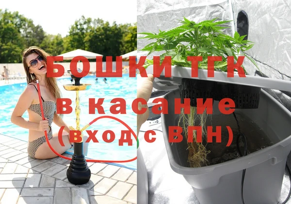 стаф Козловка