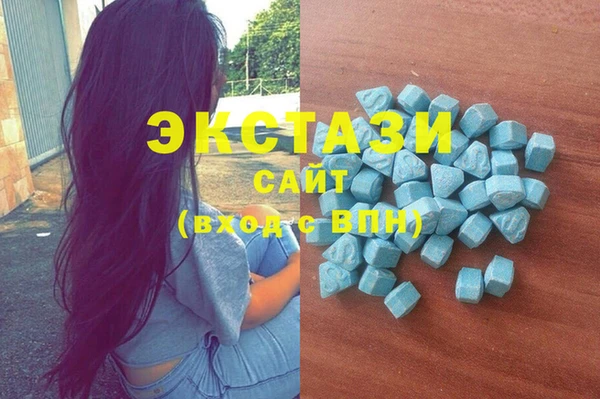 гидра Кодинск