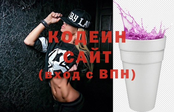 гидра Кодинск