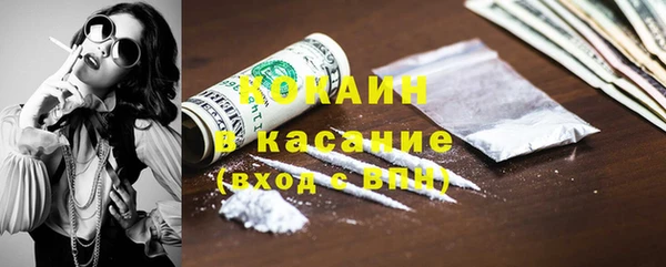 стаф Козловка